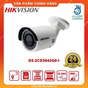 Camera IP 4MP Hikvision DS-2CD2043G0-I