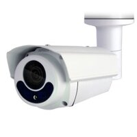 Camera IP AVTECH DGM1306P