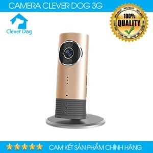 Camera IP Clever dog 3G DOG-3G