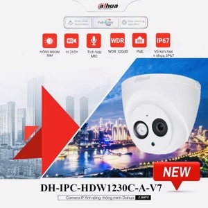 Camera IP Dahua DH-IPC-HDW1230C-A - 2MP