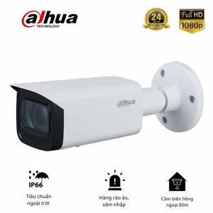Camera IP Dahua DH-IPC-HFW5241TP-SE