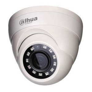 Camera IP Dahua Dome DS2130DIP
