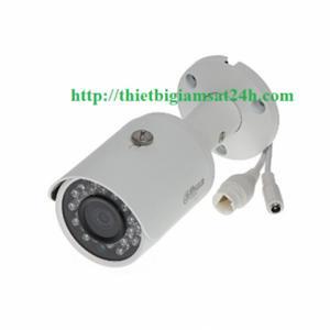 Camera ip Dahua DS2130FIP 1.0MP hồng ngoại 30m