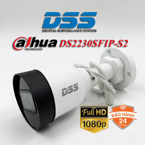 Camera IP Dahua DS2230SFIP-S2 - 2MP