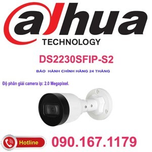 Camera IP Dahua DS2230SFIP-S2 - 2MP
