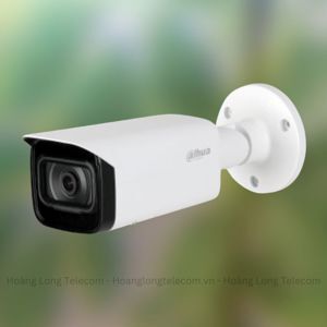 Camera IP Dahua IPC-HFW2431SP-S-S2