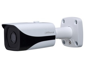 Camera IP Dahua IPC-HFW4220E