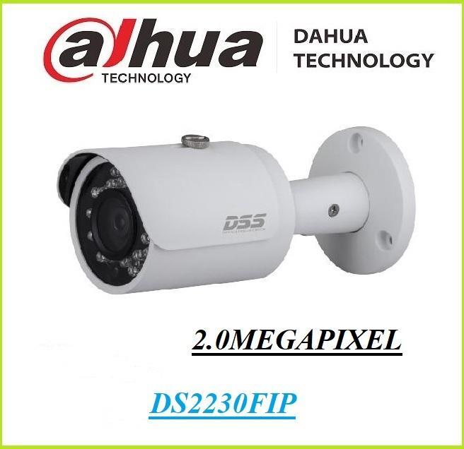 Camera IP Dahua DS2230FIP