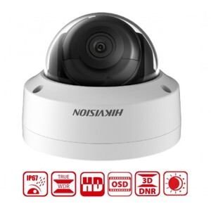Camera IP Dome 2MP Hikvision DS-2CD2125FHWD-I