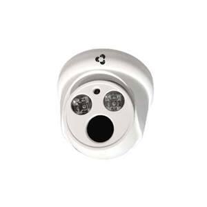 Camera IP Dome 2MP Vantech VP-2110P