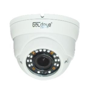 Camera IP Dome Goldeye GE-NZD414-IR - 2MP