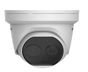 Camera IP Dome HikVision DS-2TD1217B-6/PA(B)