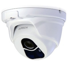 Camera IP Dome hồng ngoại Avtech DGM1304P