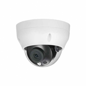 Camera IP Dome hồng ngoại Dahua DS2230RDIP-S2 - 2MP