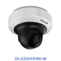 Camera IP DS-2CD2F42FWD-IW