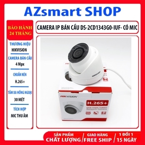 Camera IP Hikvision 4.0MP DS-2CD1343G0-IUF