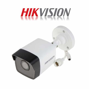 Camera IP Hikvision DS-2CD2021-IAX