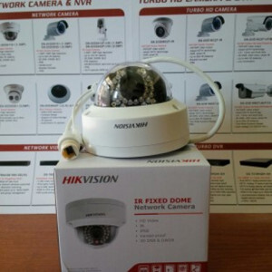 Camera IP Hikvision DS-2CD2110F-IWS