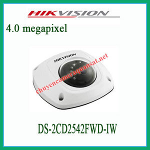 Camera IP Hikvision DS-2CD2542FWD-IW