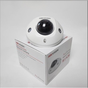 Camera IP Hikvision DS-2CD2543G2-IWS