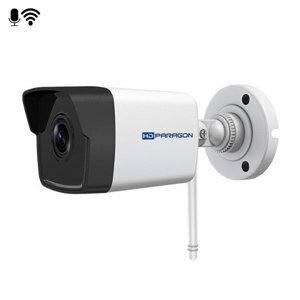 Camera IP hồng ngoại HDParagon HDS-1021IRAW - 2MP