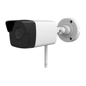 Camera IP hồng ngoại HDParagon HDS-1021IRAW - 2MP