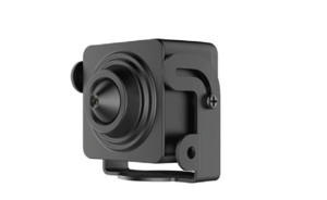 Camera IP ngụy trang Hikvision DS-2CD2D11G0-D/NF - 1MP