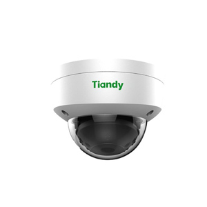 Camera IP Tiandy TC-NC252
