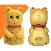 Camera IP Wifi BAMBA B7 2.0 (không dây MintNa.Store) Mèo thần tài SỬ SỤNG PHẦN MỀM P2PCAMPLUS, ONLCAM, HOPEWAY