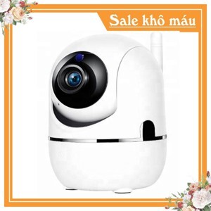 Camera IP Wifi YCC365