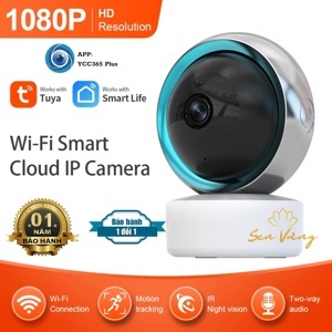 Camera IP Wifi YCC365