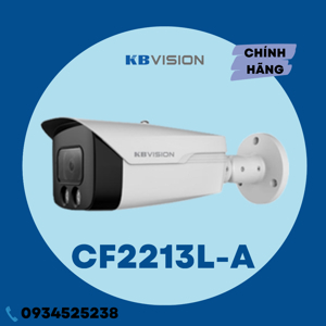 Camera KBvision KX-CF2213L-A