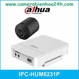 Camera ngụy trang 2MP Dahua IPC-HUM8231P