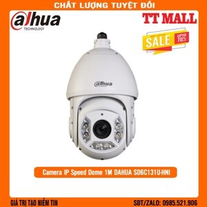 Camera PTZ Dahua DH-SD6C131U-HNI