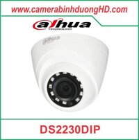 Camera Quan Sát DS2230DIP