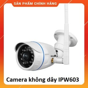 Camera RDS IP IPW603