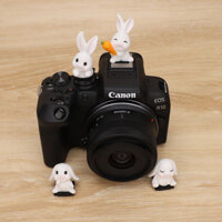 Camera SLR thỏ dài tai Hot Boots Che bụi sáng tạo chống bụi phù hợp cho Sony Festinian Nikon Canon M50 49