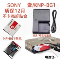 Camera Sony DSC-W30 W35 W40 W50 W60 W70 W80 W90 Pin + Sạc
