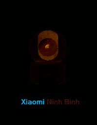Camera Xiaomi Mi Home Security 360° 1080P