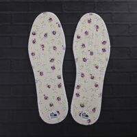 Campfire Solaris Limited Edition 2020