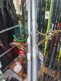 Cần Ashino Bạch Kim Huyền Thoại Mẫu 2025