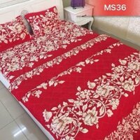 (Cận cảnh) Bộ ga chun trần + 2 gối đầu trần bông