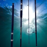 Cần Câu 2 Khúc Rỗng DAIWA 576MV Đủ Size