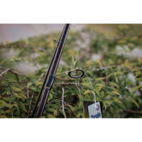 cần câu lure ashino monster đứng 2m7 khoen sic vang