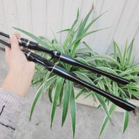 cần câu lure Tianneng II njah5655jhf6368
