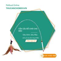 Cần câu mèo – Đồ chơi cho mèo