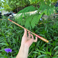 Cần câu tay mini vần giả gỗ nhỏ gọn 4H gẩy rô diếc bỏ túi nhét cốp