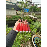 Cần câu tay Ỷ Thiên độ cứng 4H chuyên đánh tạo cảm giác câu rô diếc tặng kèm ngọn Đồ Câu Việt Bắc nakpk1ajasz
