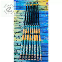 Cần Câu Thanh Long Kiếm Thần 5H Kèm Ngọn, Tải Tĩnh 1500-2500g chất lượng