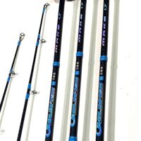 Cần Coastline Gold Fish 3m